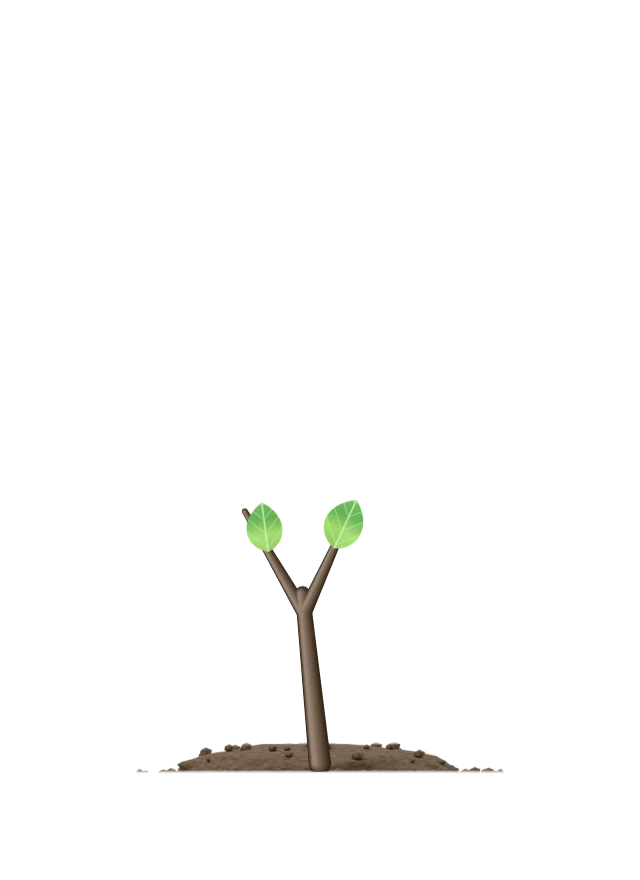 A sprout: a young stem with its first leaves