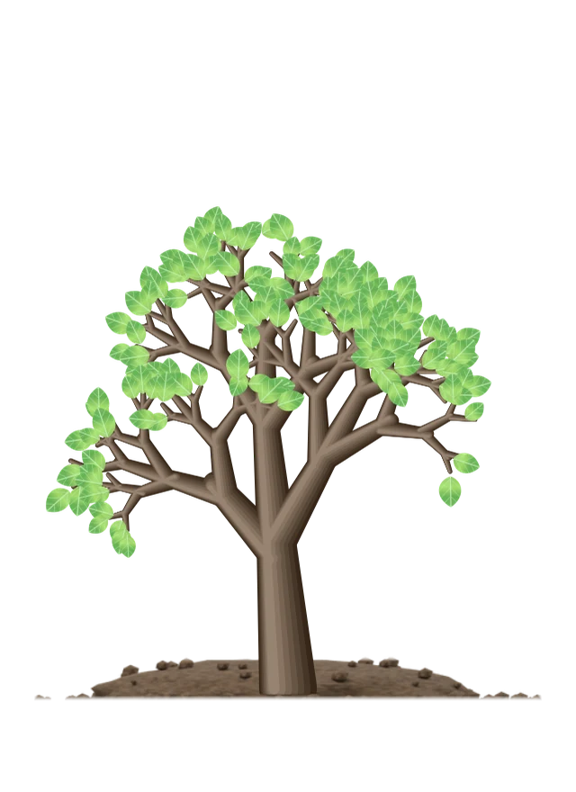A tree, fuller and taller