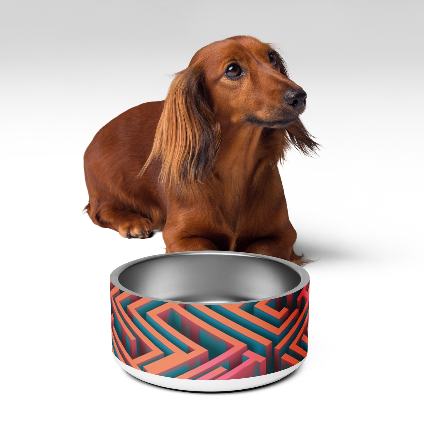 3D Maze Illusion | 3D Patterns | Pet Bowl - #1