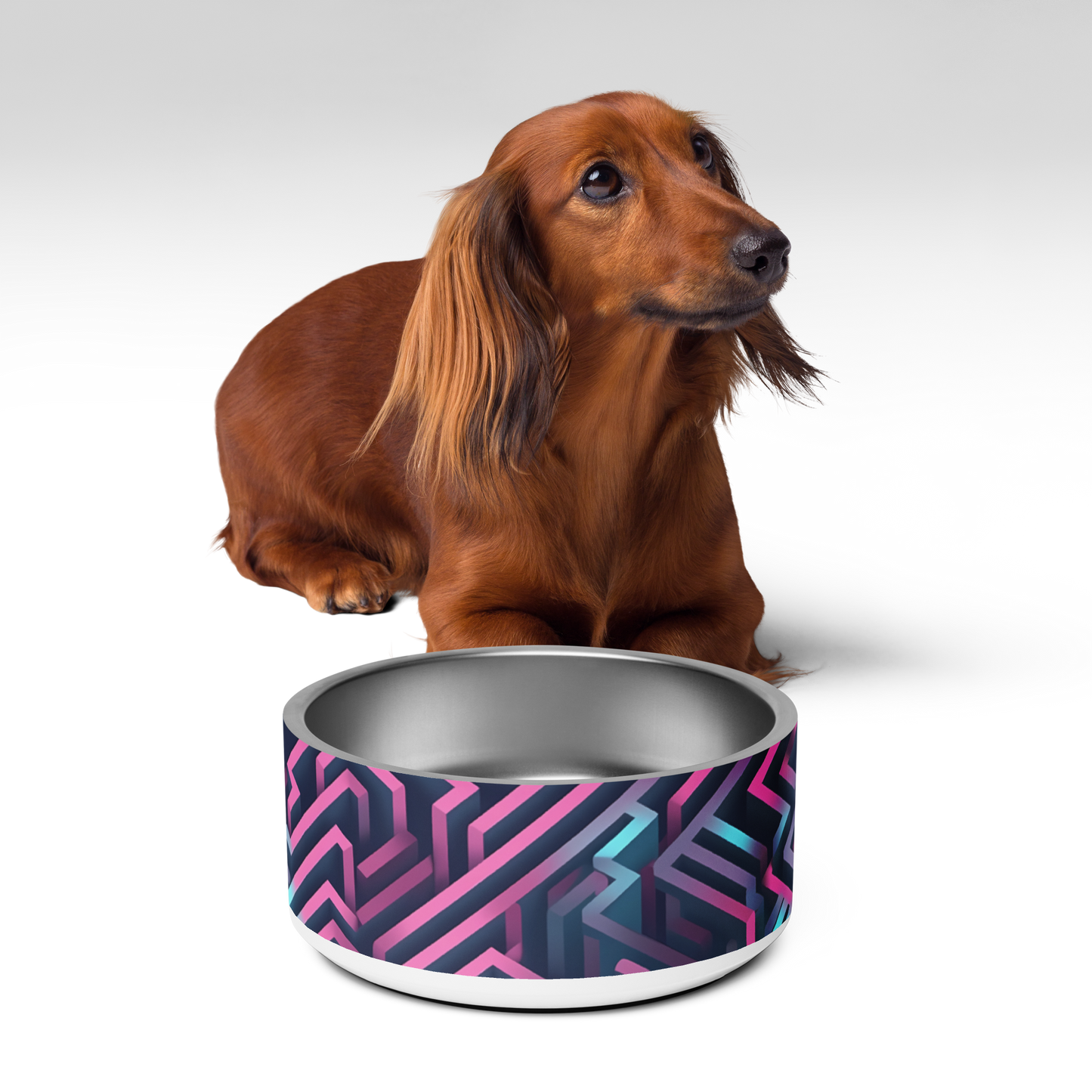 3D Maze Illusion | 3D Patterns | Pet Bowl - #4