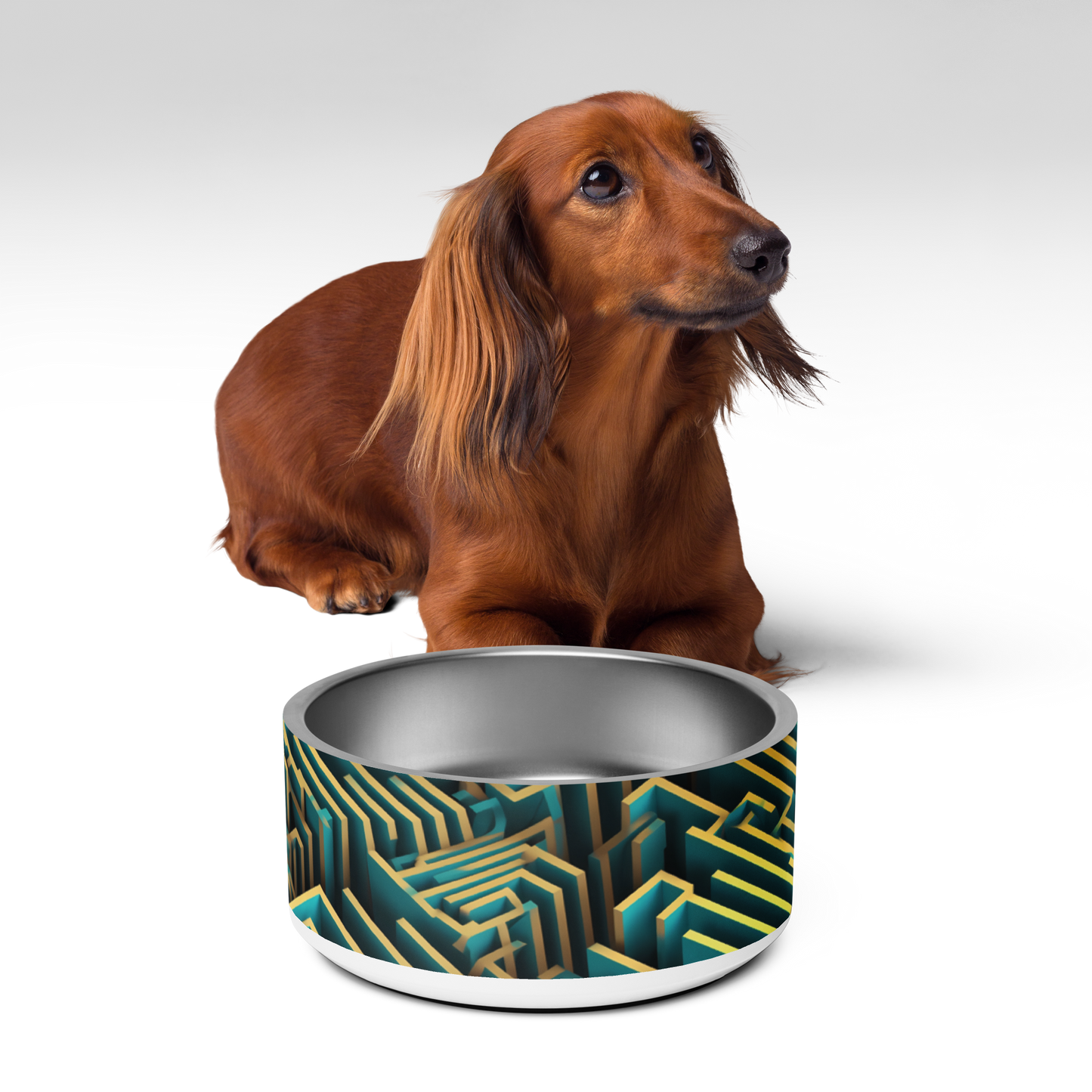 3D Maze Illusion | 3D Patterns | Pet Bowl - #5