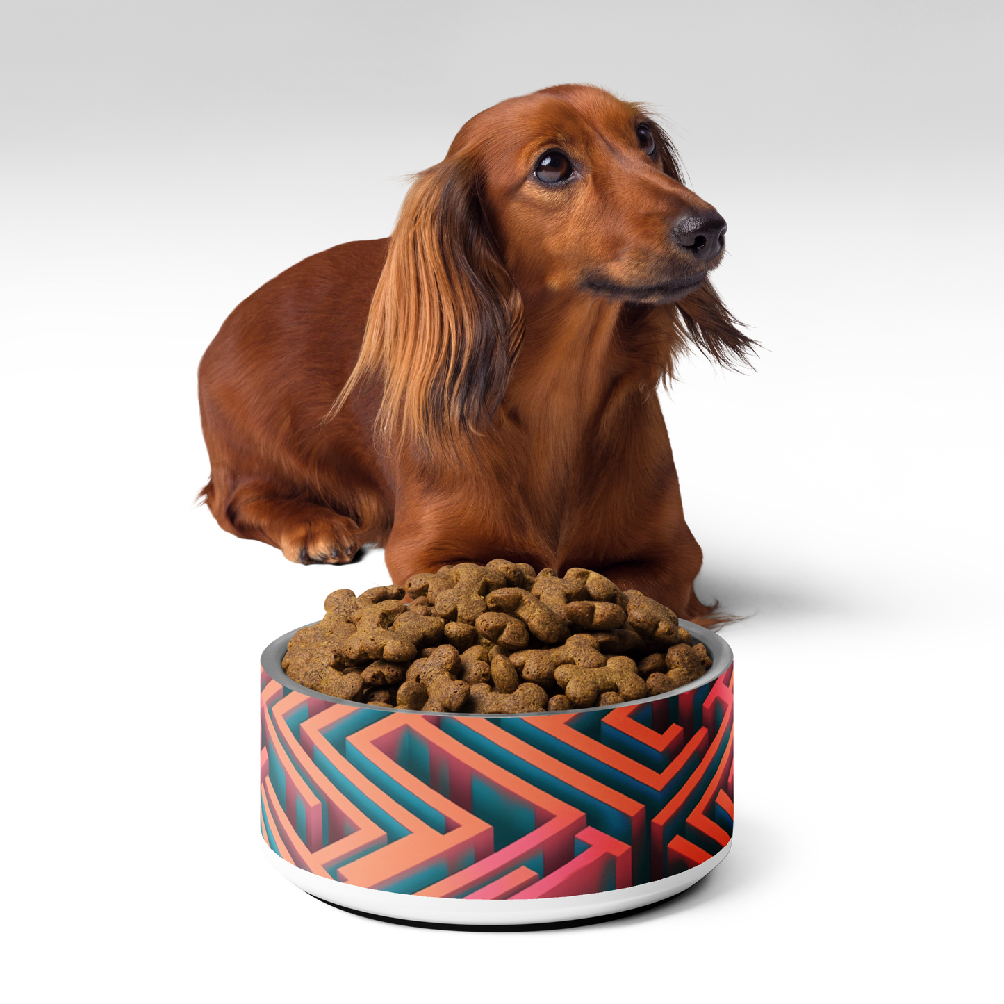 3D Maze Illusion | 3D Patterns | Pet Bowl - #1