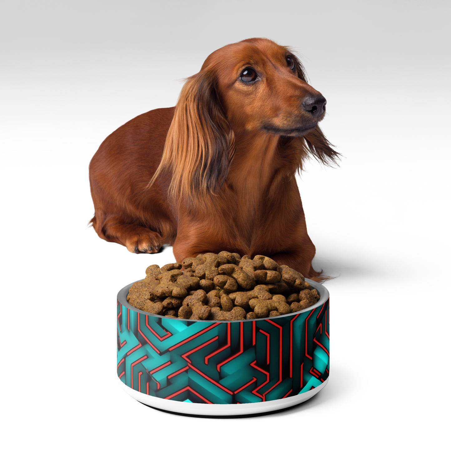 3D Maze Illusion | 3D Patterns | Pet Bowl - #2