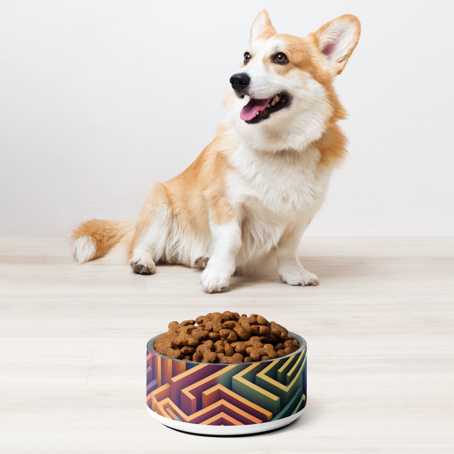 3D Maze Illusion | 3D Patterns | Pet Bowl - #3