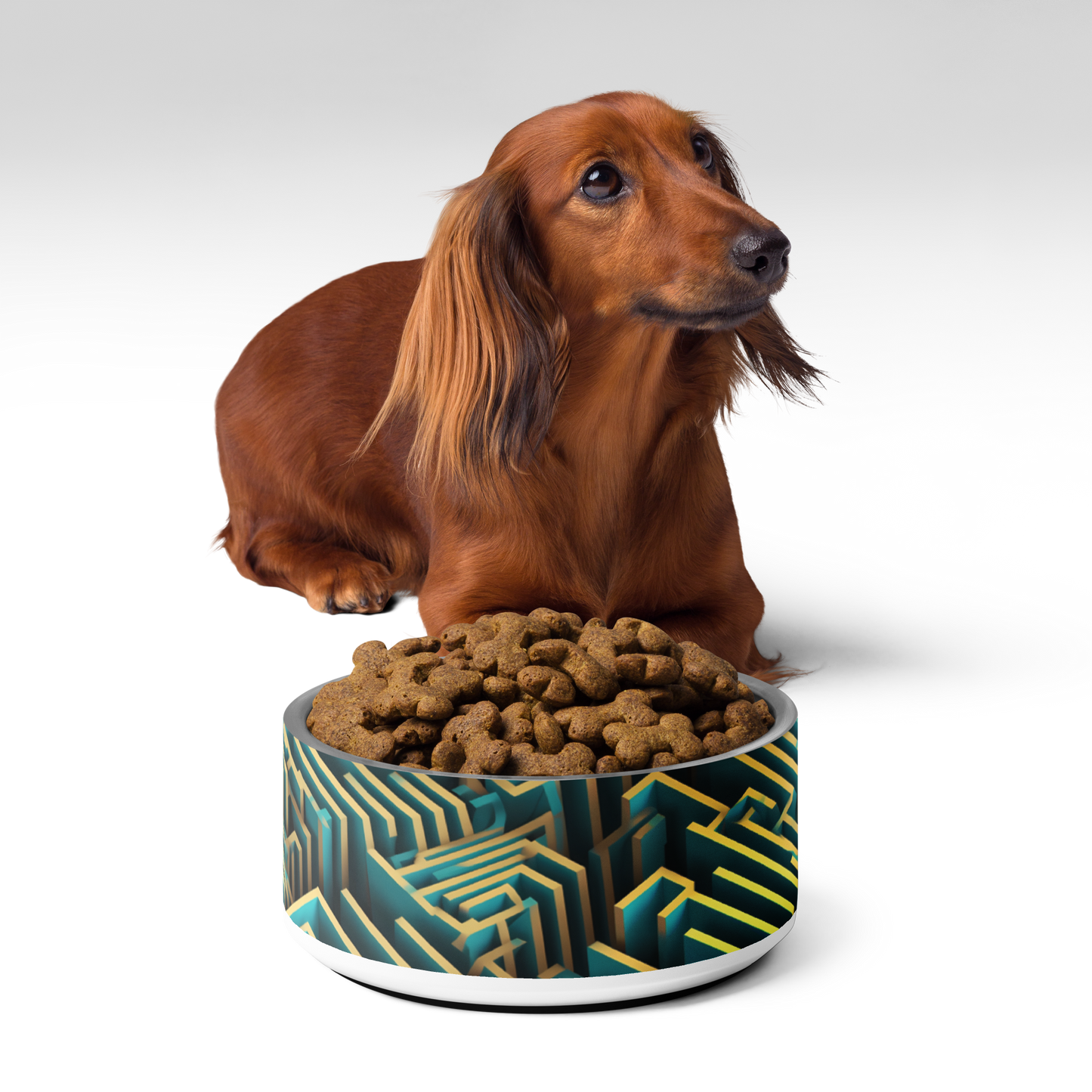 3D Maze Illusion | 3D Patterns | Pet Bowl - #5